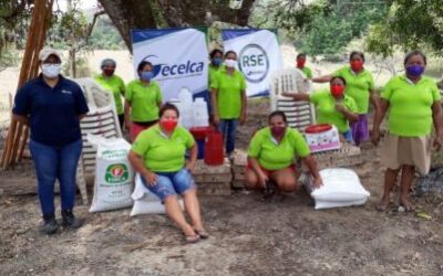 Gecelca apoya la producción de alimentos en Puerto Libertador