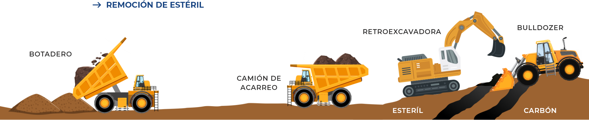 remocion-esteril